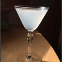 Cocktails for Quarantine, Patroness