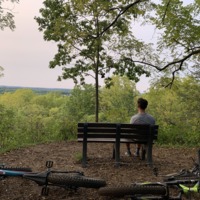 This is a picture of the back of a man sitting on a wooden park bench overlooking trees. The ground is a dirt trail and has bike lying on the ground.