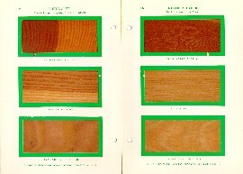 Hough&#039;s Encyclopaedia of American Woods