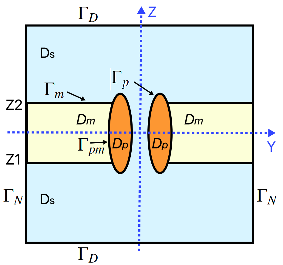 Protein region illustration